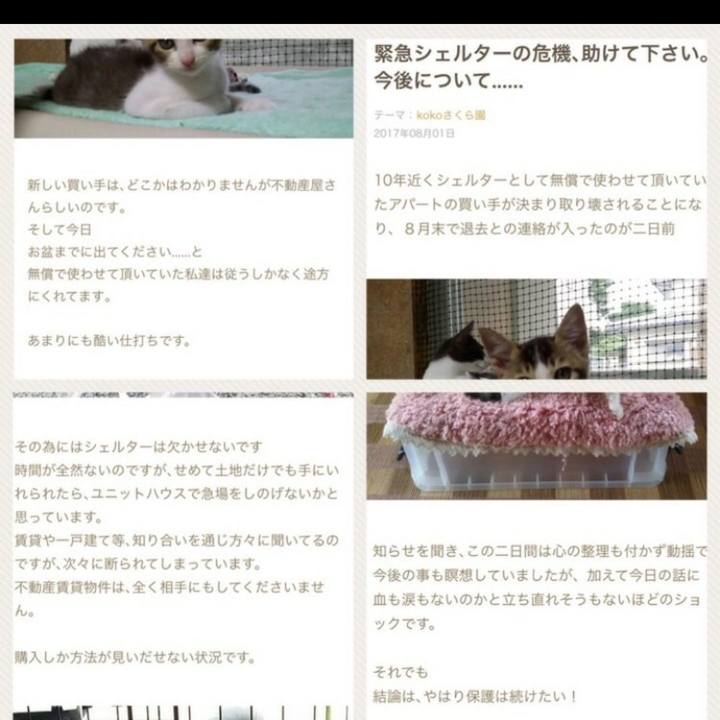 Fce0497c 2db6 463c 8d3f 05542ff48629