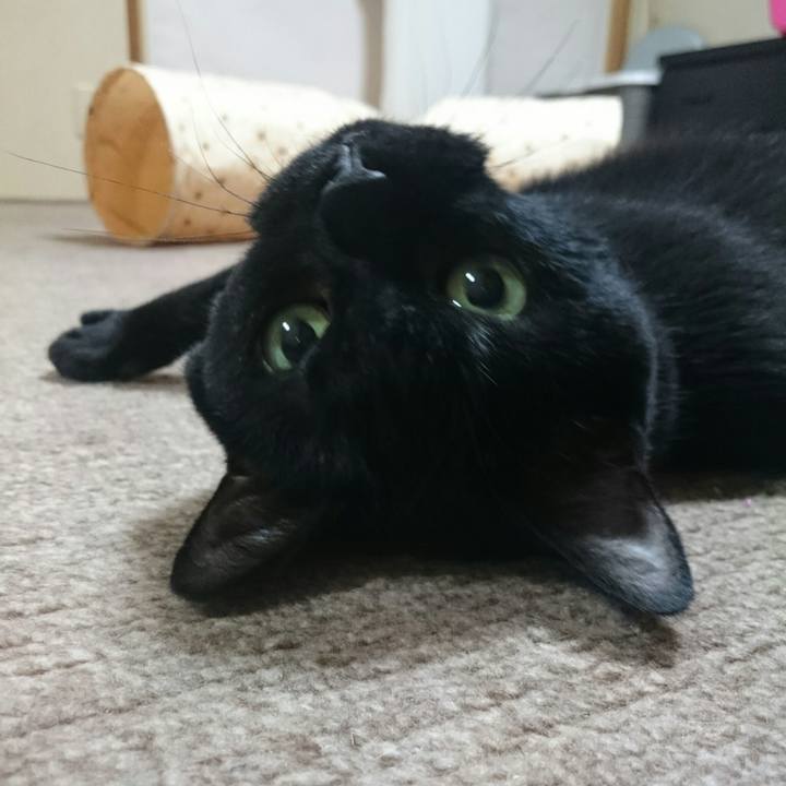 Fce058d8 67cf 40df 9f6f 0f108d32ac68