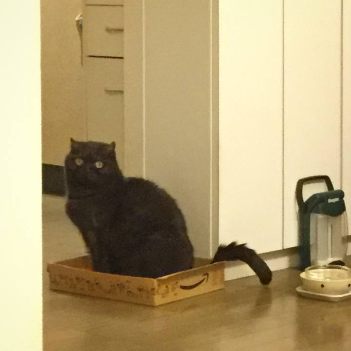 Fce0b0d2 b70b 45f1 ba32 91f8af2f6a90