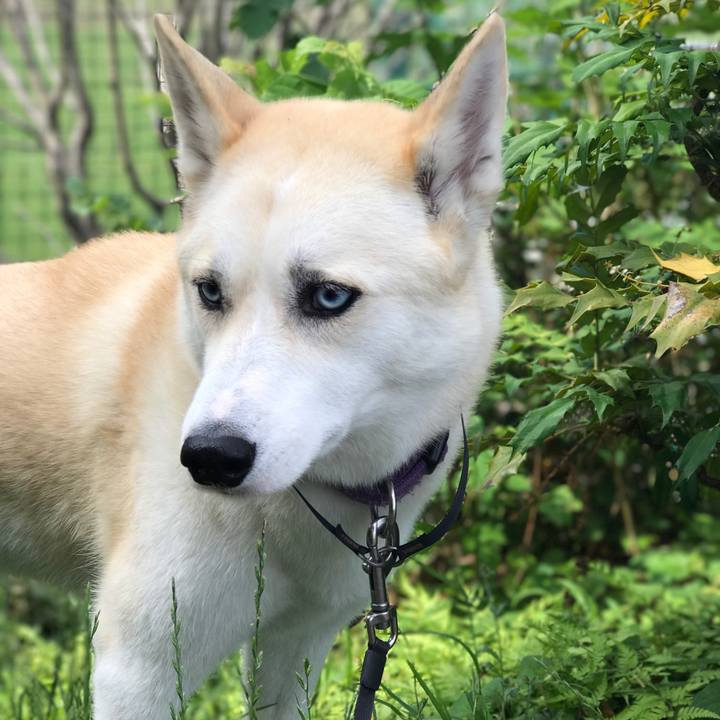 Fce0b1c8 862a 4d88 8e61 47914be6136c