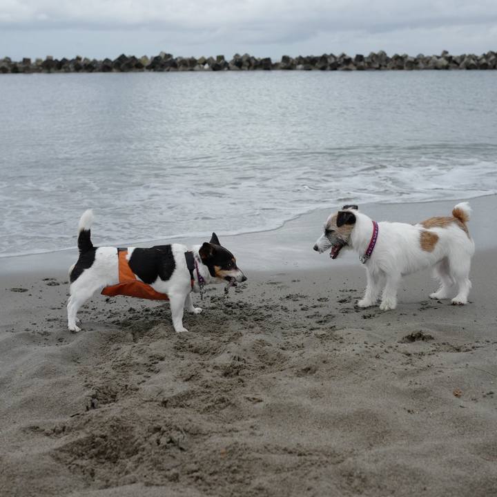 Fce18e40 1479 4e56 81f1 37bdcb4208c3