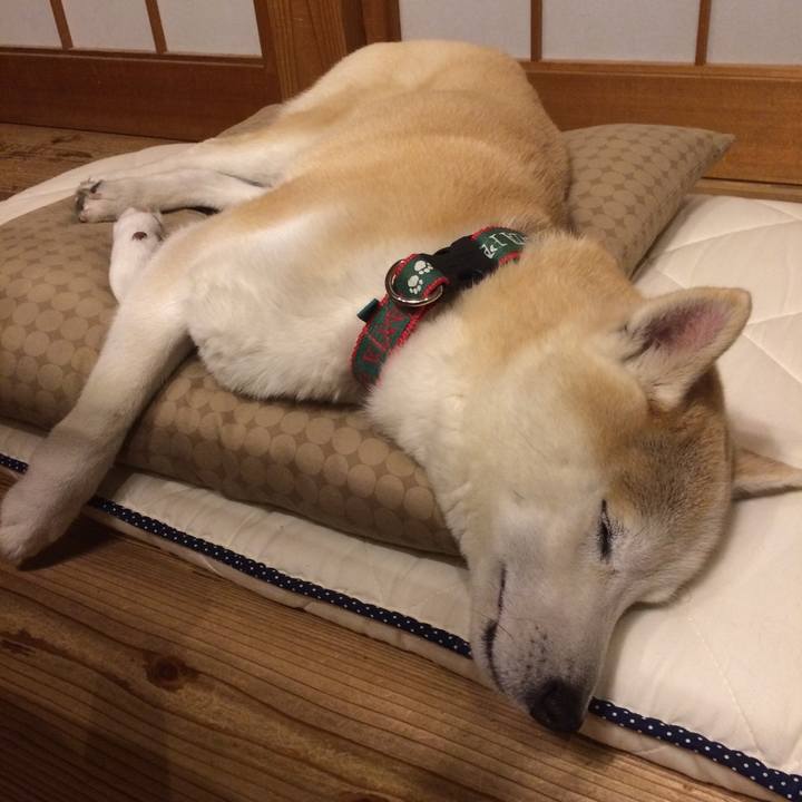 Fce2b3da 7d8c 4669 b146 44d77fb5e0c7