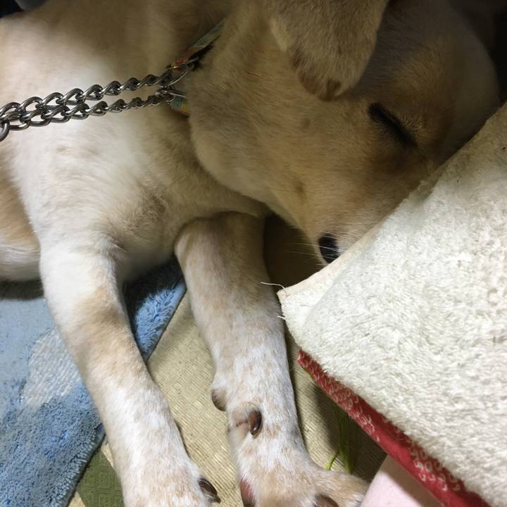 Fce334e9 b485 421c 9aff 7bba34c608be