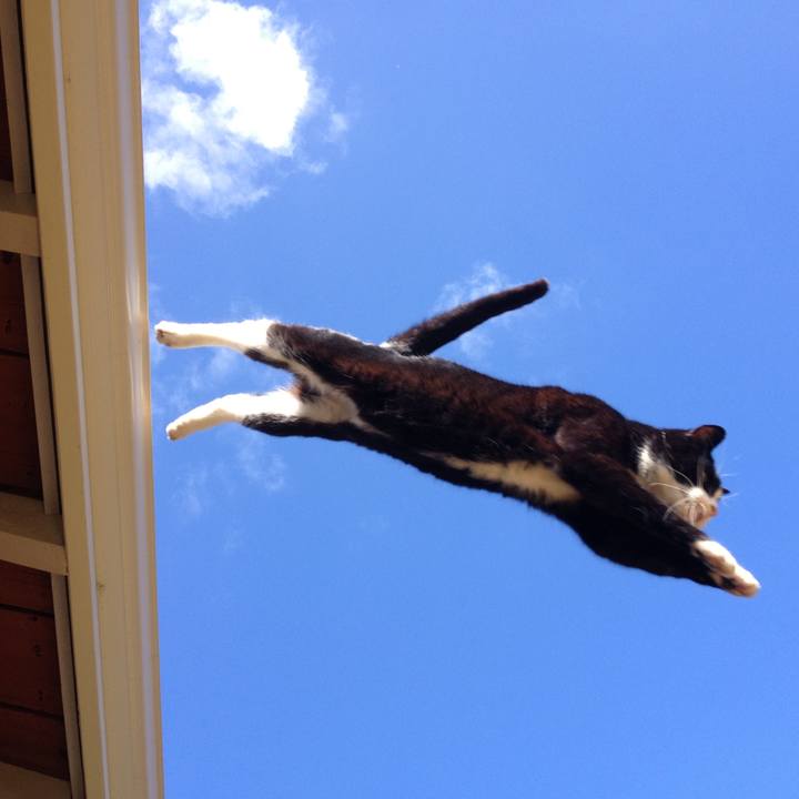 Fce3b20b 0d4b 45bf 983e cabcb4e9f5bc