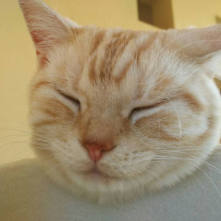 Fce3e8ae da2a 40e0 8101 2daf9eb5503c