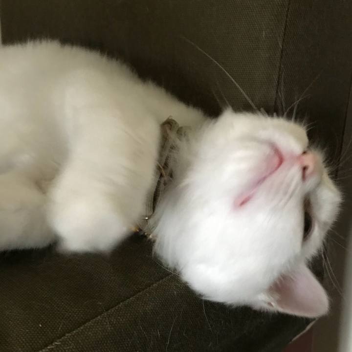 Fce3ea6c 30e3 429a 9c4e 275fb2da7213