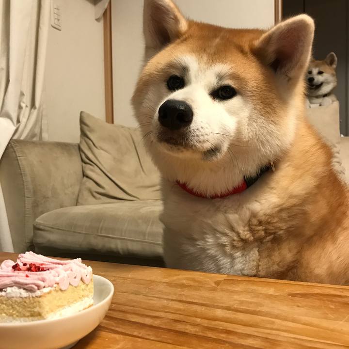 Fce3f092 29ae 451e bf61 a28dd4ae3cc4