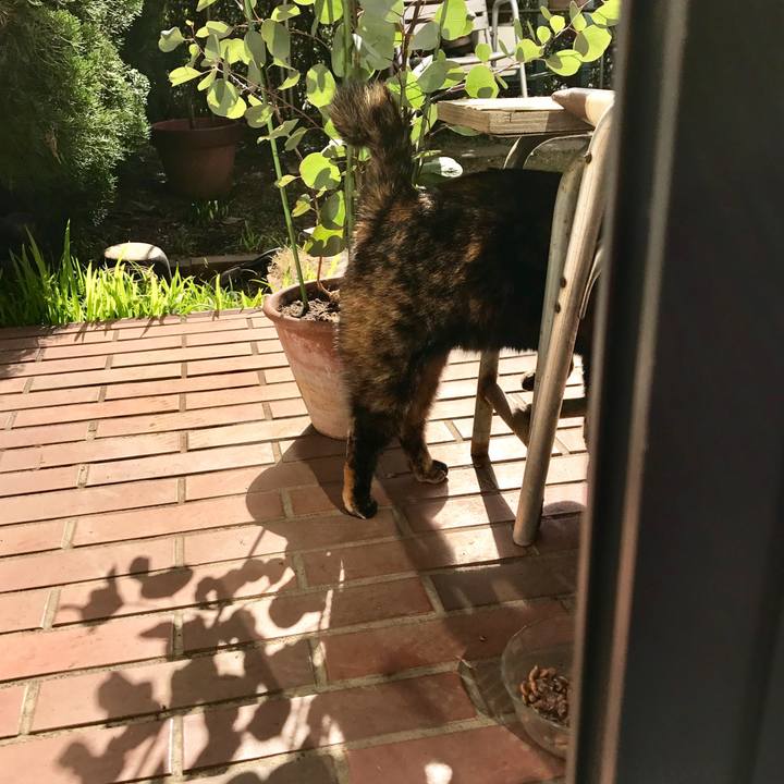 Fce4167f 6f83 40f1 a780 5f57a07388b1