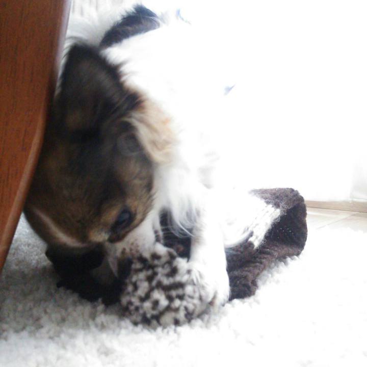 Fce49f9d 6688 4353 ad81 f9e6af1e46a4