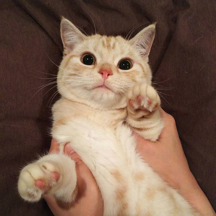 Fce53a7d 7b00 4a49 8824 4a26f31840f2