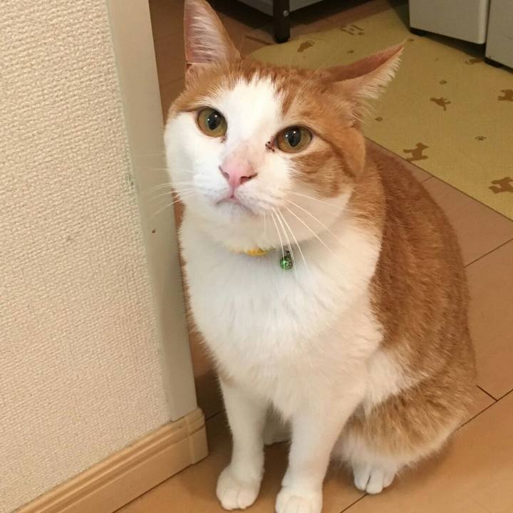 Fce570b4 c2a2 4025 a537 5777dd189b0f