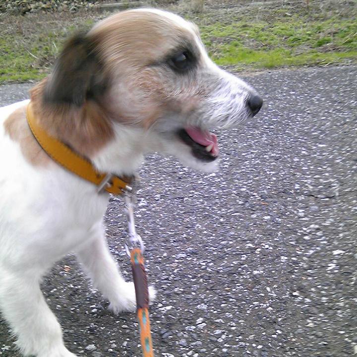 Fce7083c 3e02 49de af68 9224cc35ea1a