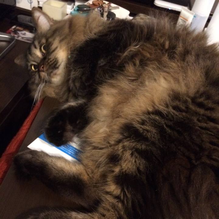 Fce75f5c 4680 4598 a6e2 ed9e4d0021e2