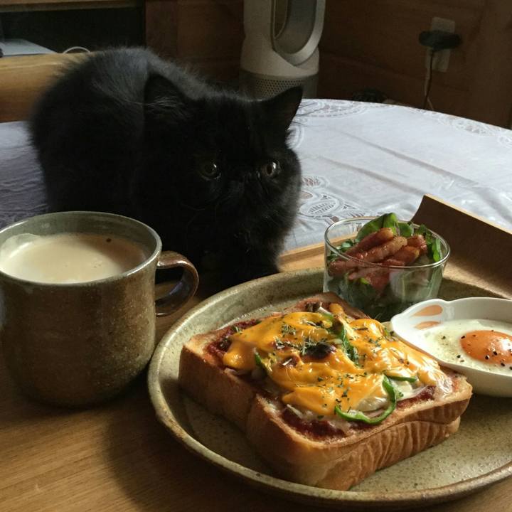 Fce76c92 1cd0 434b 85fc 1f603c0b7eac