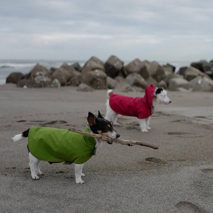 Fce838ac e07a 4ae9 9a18 d03d3300c5fc