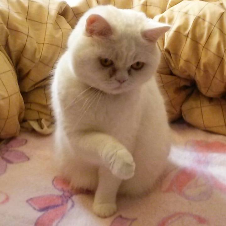 Fce83cef 3c65 4918 b70e 998da9ec5ae3