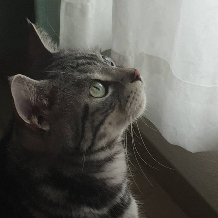 Fce886dd 3cd2 4d9b 9bdb 13ccb43c5684