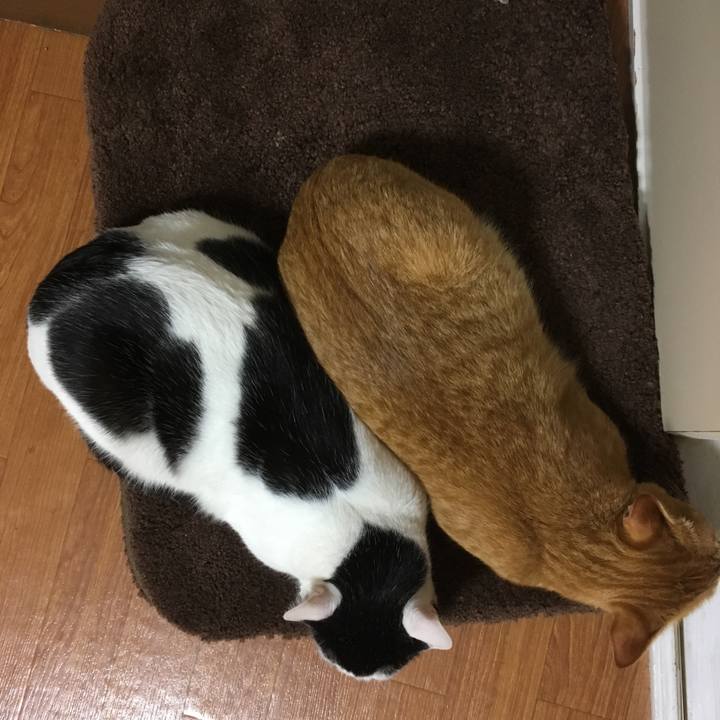 Fce88c07 2dd6 421e 8ecb 22e7527ae3b7