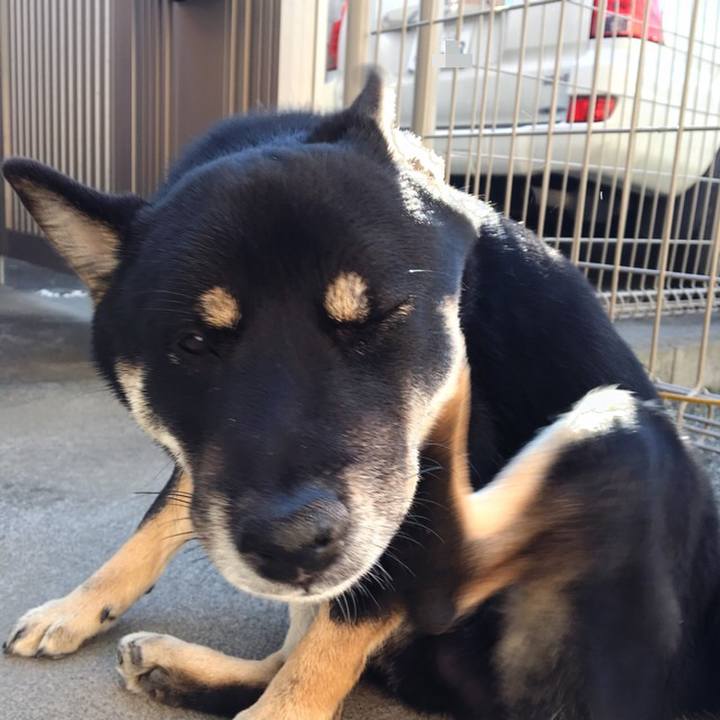 Fce89d48 f0be 4279 8ba5 d1533e215840