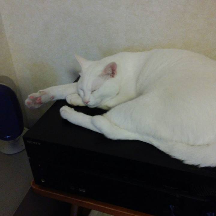 Fcea2d51 12ff 47a9 a783 a255bb7baa7e