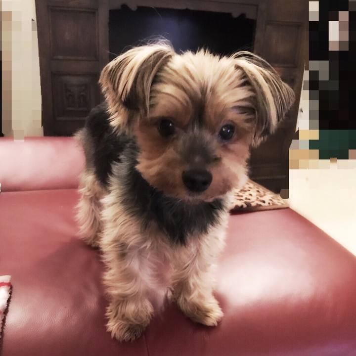 Fcea4fc5 7147 47ba a4f7 4174e24a0893