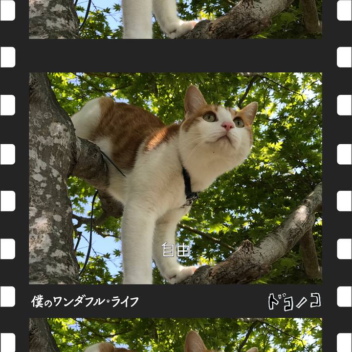 Fcea769b bdaa 42cf baec a74d096bf73c