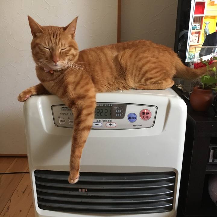 Fceb5dc7 8a6b 4f96 81b5 5ceeeb93ae89