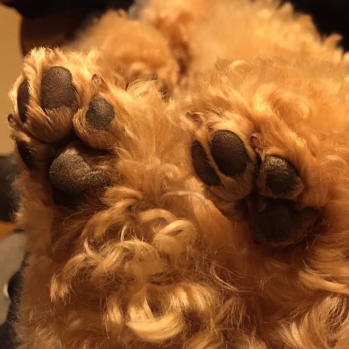 Fcebf1d6 4739 45ff b197 93836f8e9757