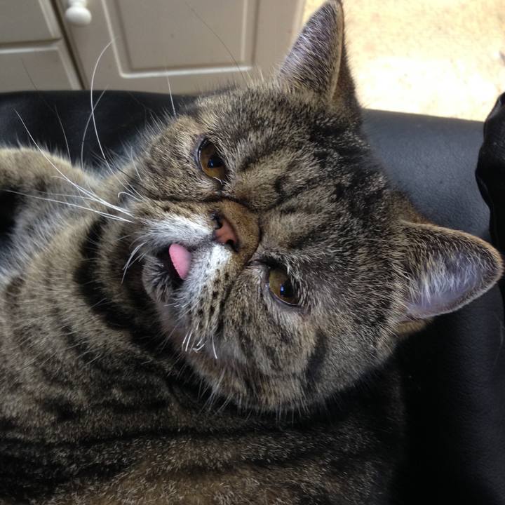 Fcec3223 a201 497b 85e4 6f516b0b7678