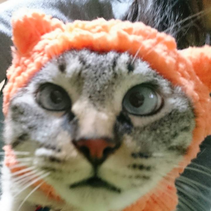 Fcec8e86 b661 4226 b204 2aa6f6991690