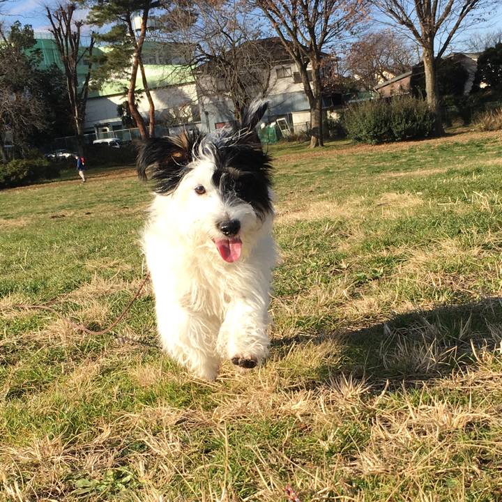 Fcecc54d 275d 46d2 8970 2bd9eeeb972b