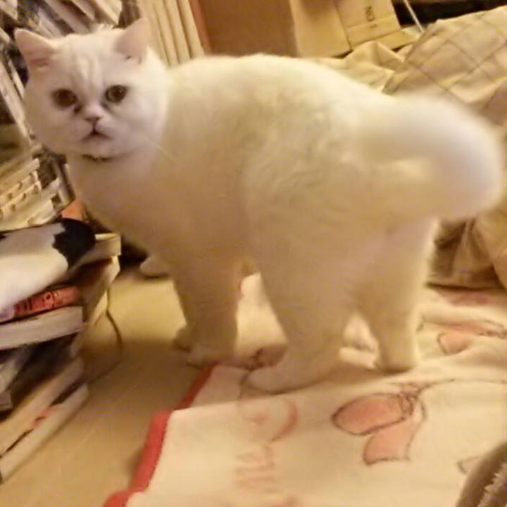 Fcece2d9 6f0b 45c7 b659 1be10811999e