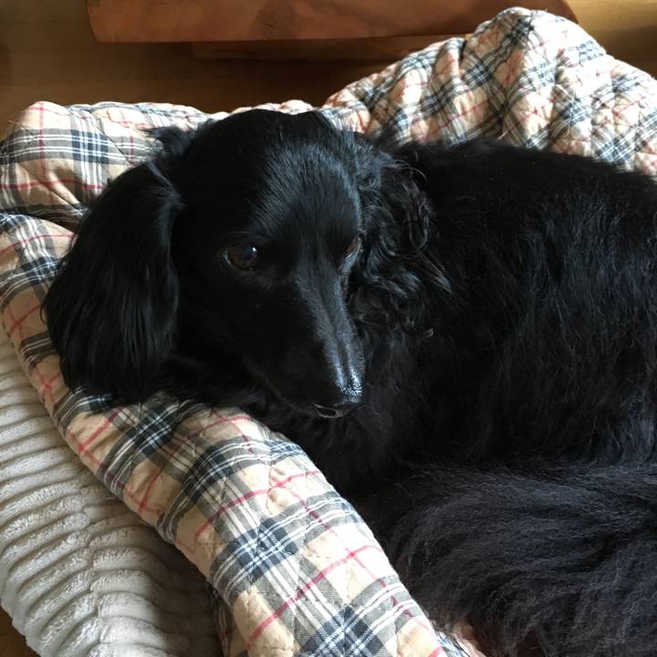 Fced2041 6895 40fb a1ab bd3fc4301a6e