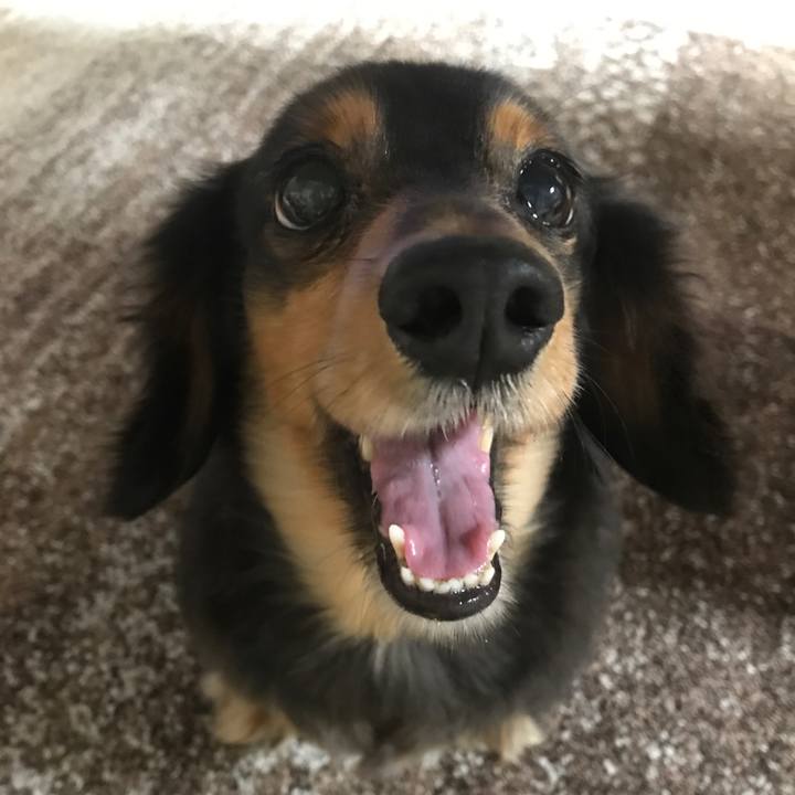 Fced27b0 3b5d 430d 8232 1abd004e8e1f