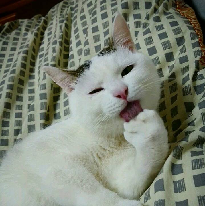 Fced3088 ea09 44f3 ac56 3749447bf85c