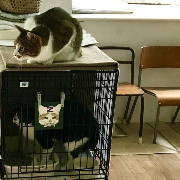 Fcee2a79 0533 4698 8c87 27205f9cfe8e