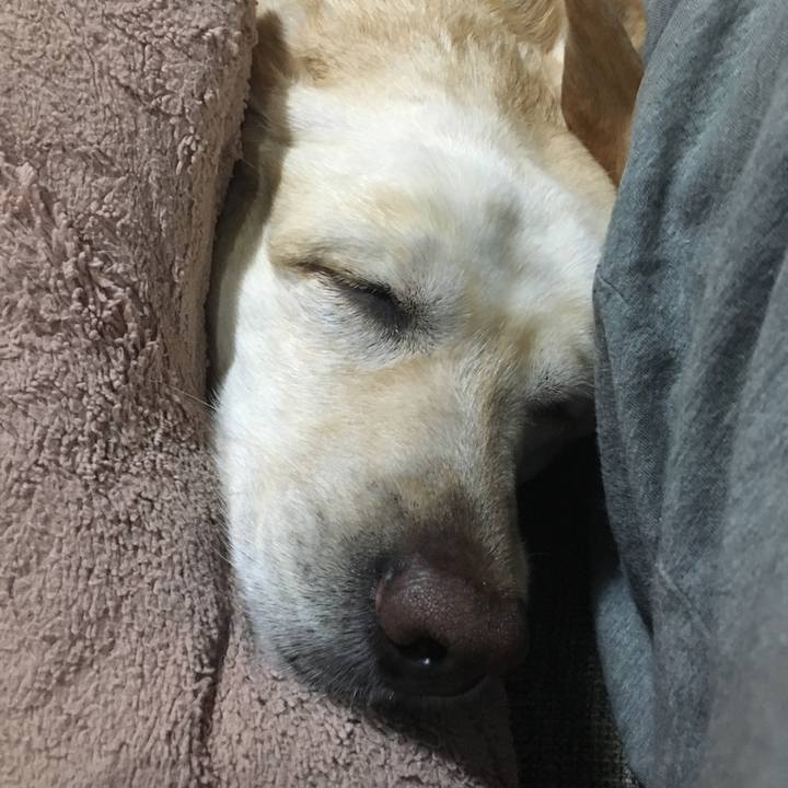 Fcee333f 0084 44ac 857c af1e7e2fdd93