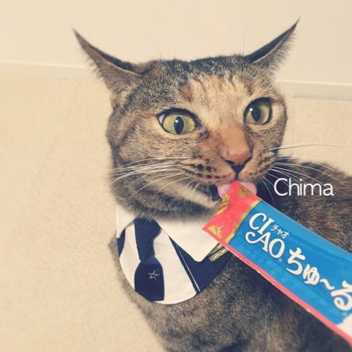 Fceef5b4 d435 47e9 9f58 870e52d896d6