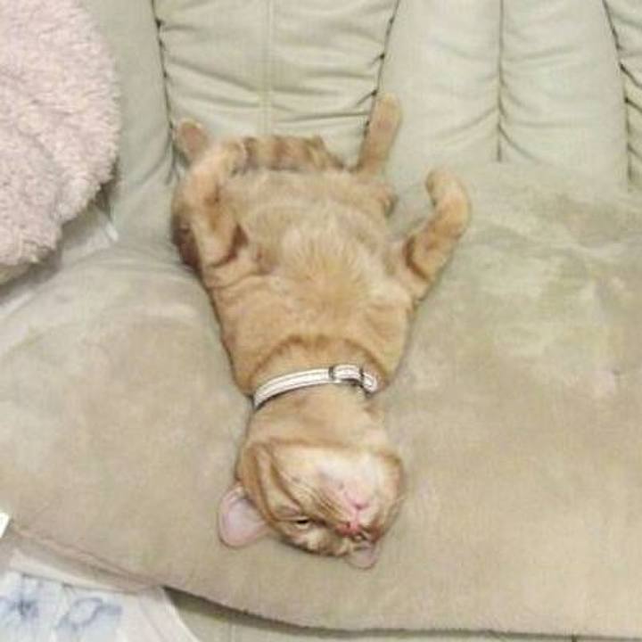 Fcef314c 7b90 436f 95cb d651eab3df3c