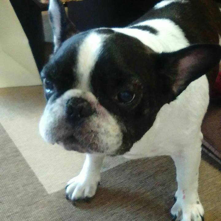 Fcf040a5 6fcc 4069 aafb e8eb80f3d8bf