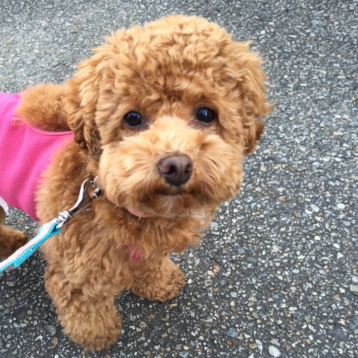 Fcf04980 2fb1 43ff 9db8 8b5ae4d10a8d