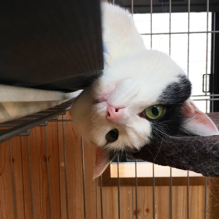 Fcf0ff86 6f6a 4802 bd95 9d403203b0a4