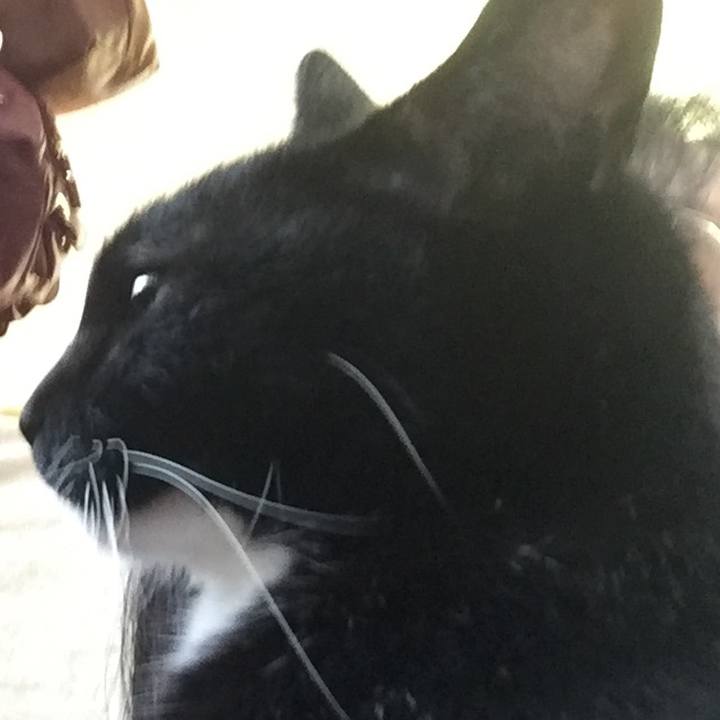 Fcf10078 41ee 4783 879c 1c667f7b1b4c