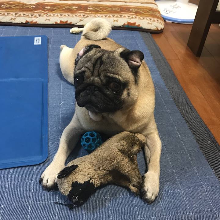 Fcf1b962 6ceb 497c a41a 77204098a9ba