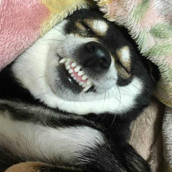 Fcf1e049 907c 45ec b9a4 3f20cbf92a29