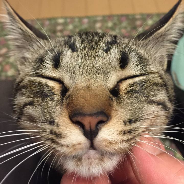 Fcf1e69a 261e 440a a074 b1dd3737b53d