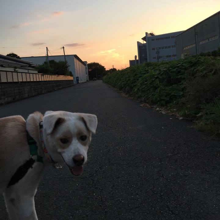 Fcf20c3e db6c 4135 81f4 adeca24c5d1f