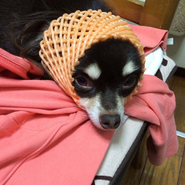 Fcf224a6 f22e 419e a38e d8284e29809b