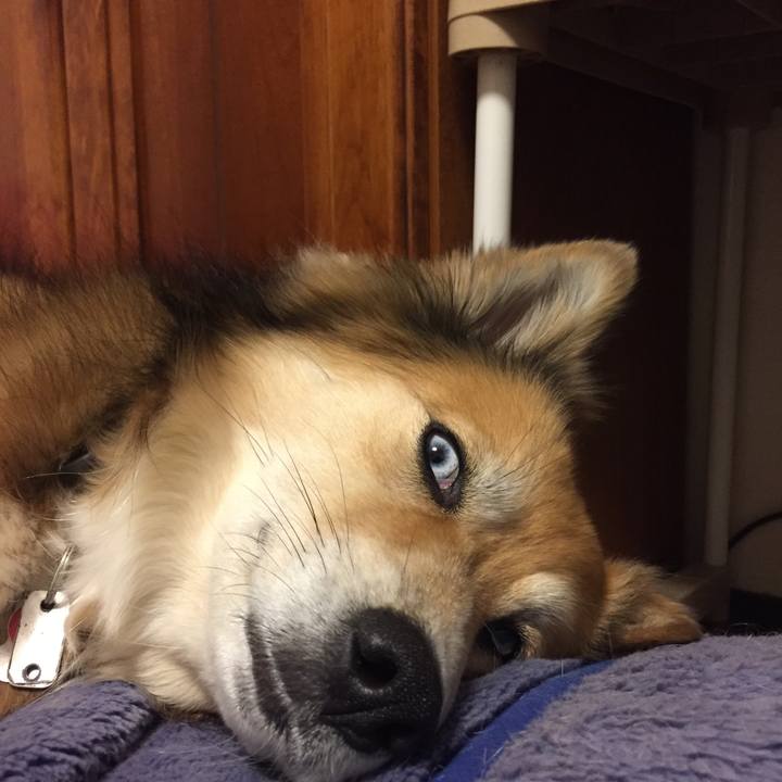 Fcf26705 4940 4f1f 9dff 40a3b269d989