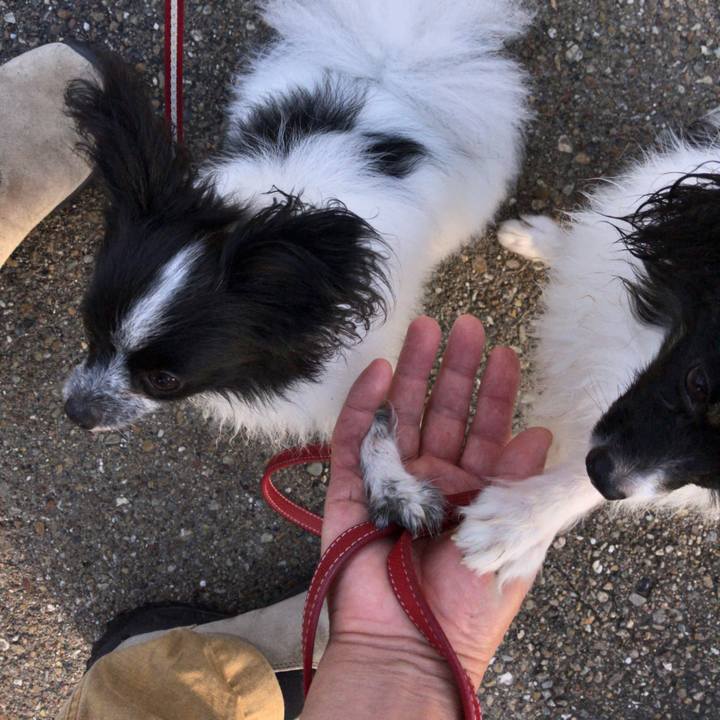 Fcf3e05e 6c6d 4908 a08c fbc3b026d8b2